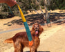 A reddish-brown dog with a ball in its mouth stands on a dirt path, looking up at a person holding the Foxtail Fetch (Dog Toy) launcher, with trees and dry grass visible in the background.